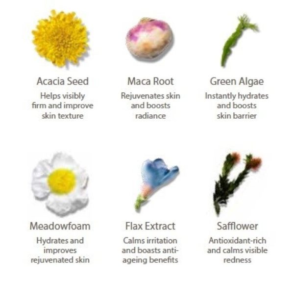 Epionce new formula ingrediants