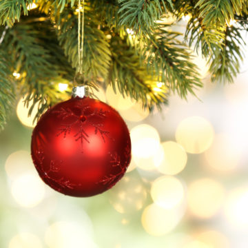 Christmas Opening Hours