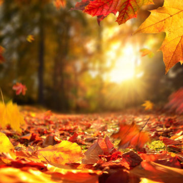The Best Autumn Skincare Tips for 2023