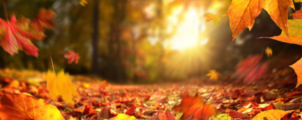 Autumn Skincare Tips